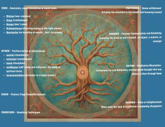 eight limbs of yoga 